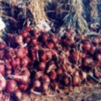 Foto Kramat-2