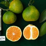 Foto Crifta-01