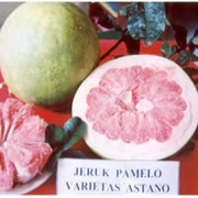 Foto Astano