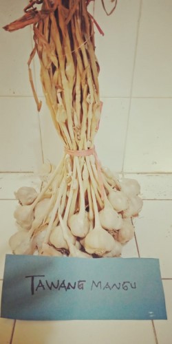 Foto Tawangmangu Baru