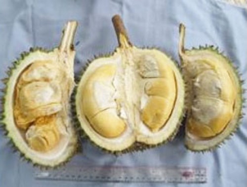 Foto Tambago Sungai Tarab