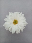 Foto Yastayukti