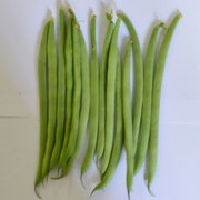 Foto Horti-2