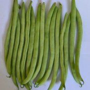 Foto Horti-3