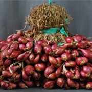 Foto Bima Brebes