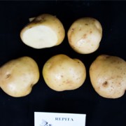 Foto Repita