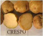 Foto Krespo