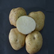 Foto Medians