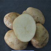 Foto Amabile