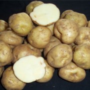 Foto AR 07 Agrihorti