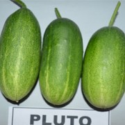 Foto Pluto