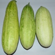 Foto Saturnus