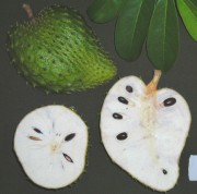 Foto Ratu-01